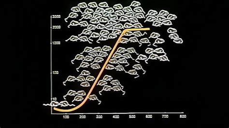 老鼠群|“老鼠乌托邦”，历时1780天的黑暗实验，是否预示了人类的未来？…